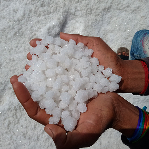 Raw Salt, Sea Salt Supplier in India