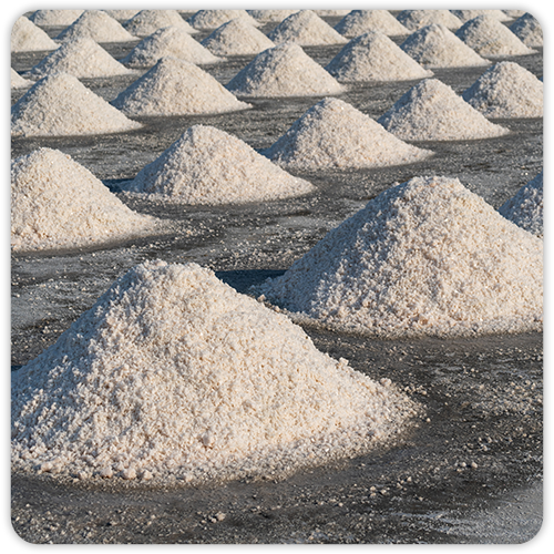Tablet Salt Manufacturer in Ahmedabad