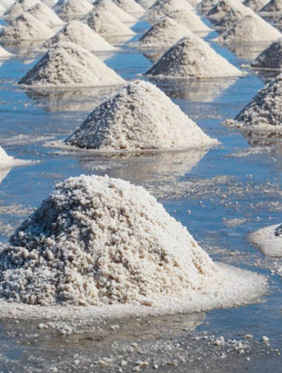 Raw Salt, Sea Salt Supplier in India